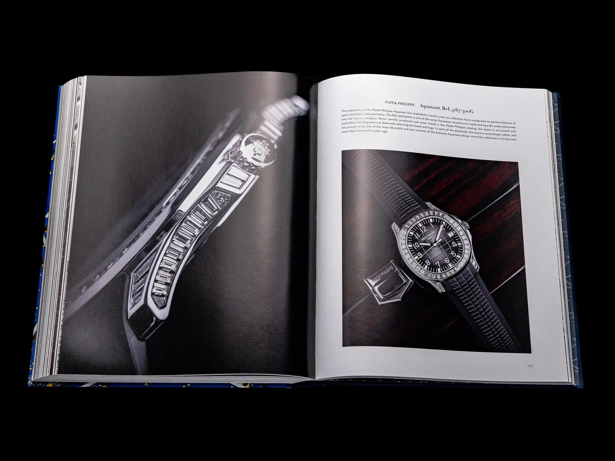 Open view of the new The Connoisseur's guide to Fine Timepieces - European Watch Company and Assouline