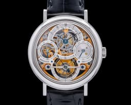 Tourbillon Perpetual Calendar Skeleton Platinum Manual Wind 40MM