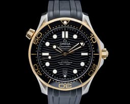 Seamaster Diver 300M Co-Axial Master Chronometer 42MM