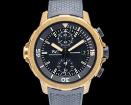 Aquatimer Chronograph Expedition Charles Darwin Bronze